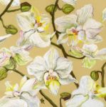 Orchid