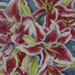 Oriental Lilies