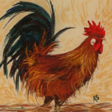 Cockerel
