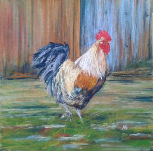 Cockerel 2