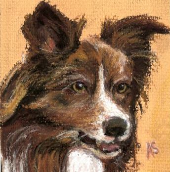 Collie