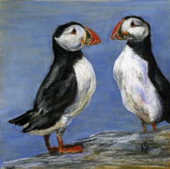 Puffins