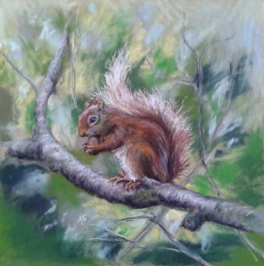 Squirrel 2