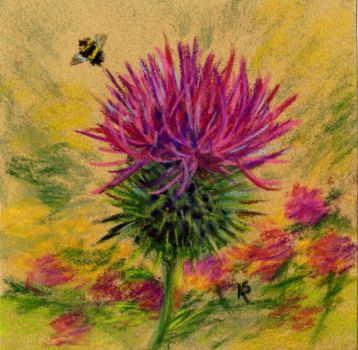 Thistle